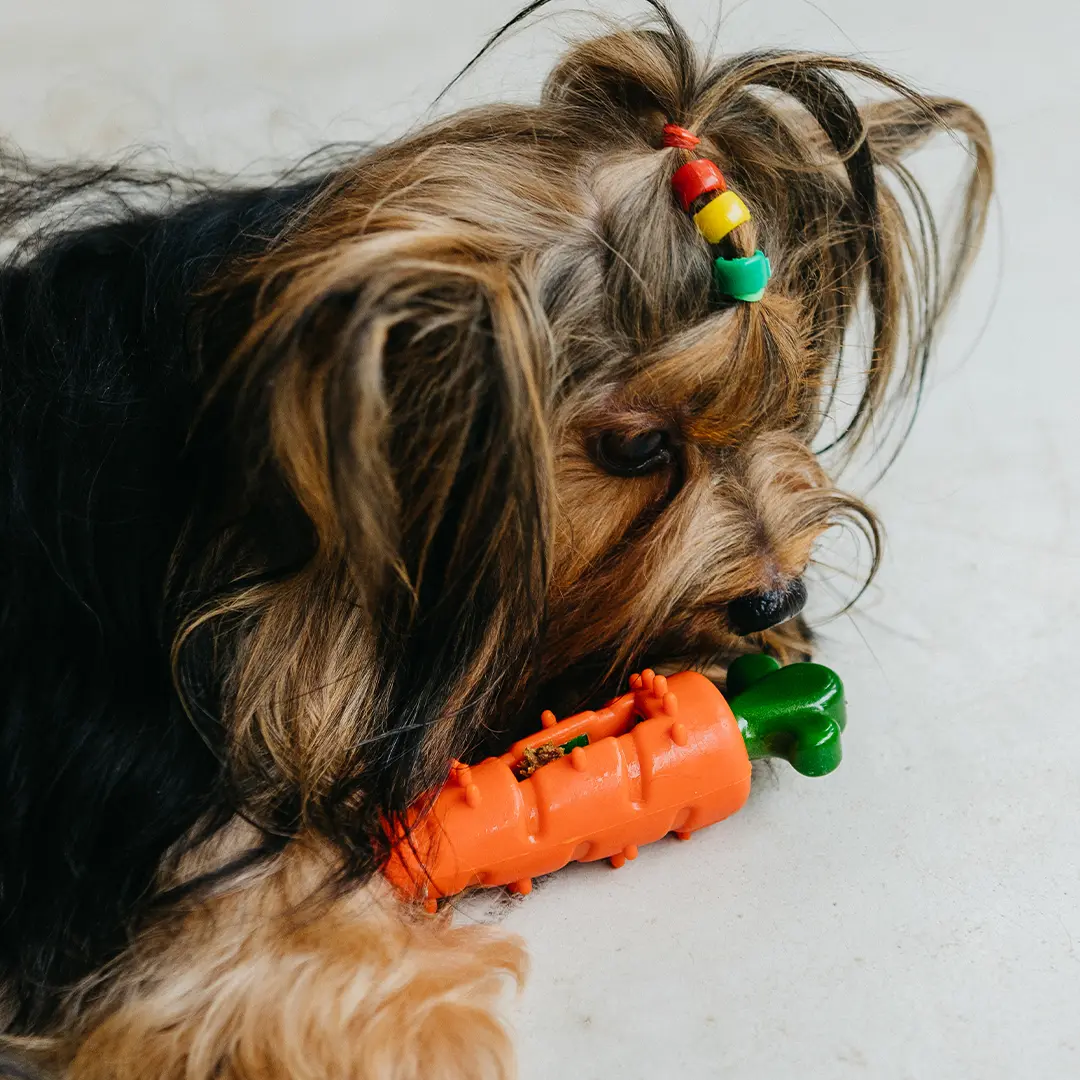 Innova - Quem Somos - Carrossel - 1