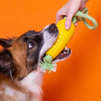 Innova - Quem Somos - Carrossel - 2