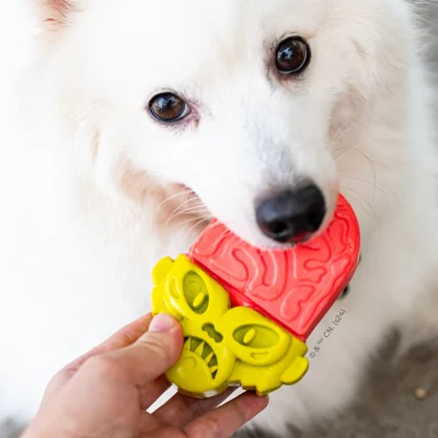 Innova - Quem Somos - Carrossel - 4